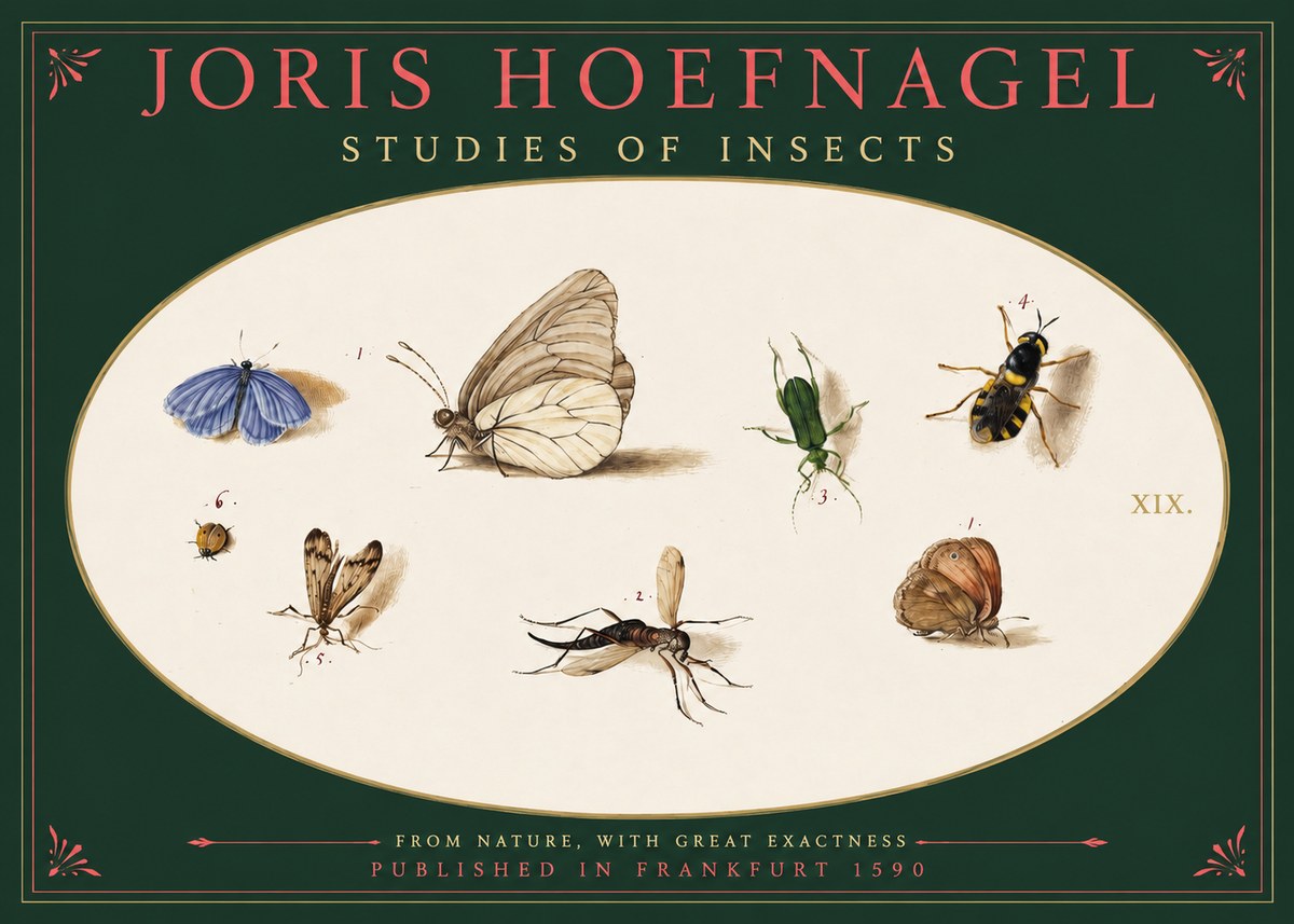 Joris Hoefnagel Studies of Insects V No2 - Plakat