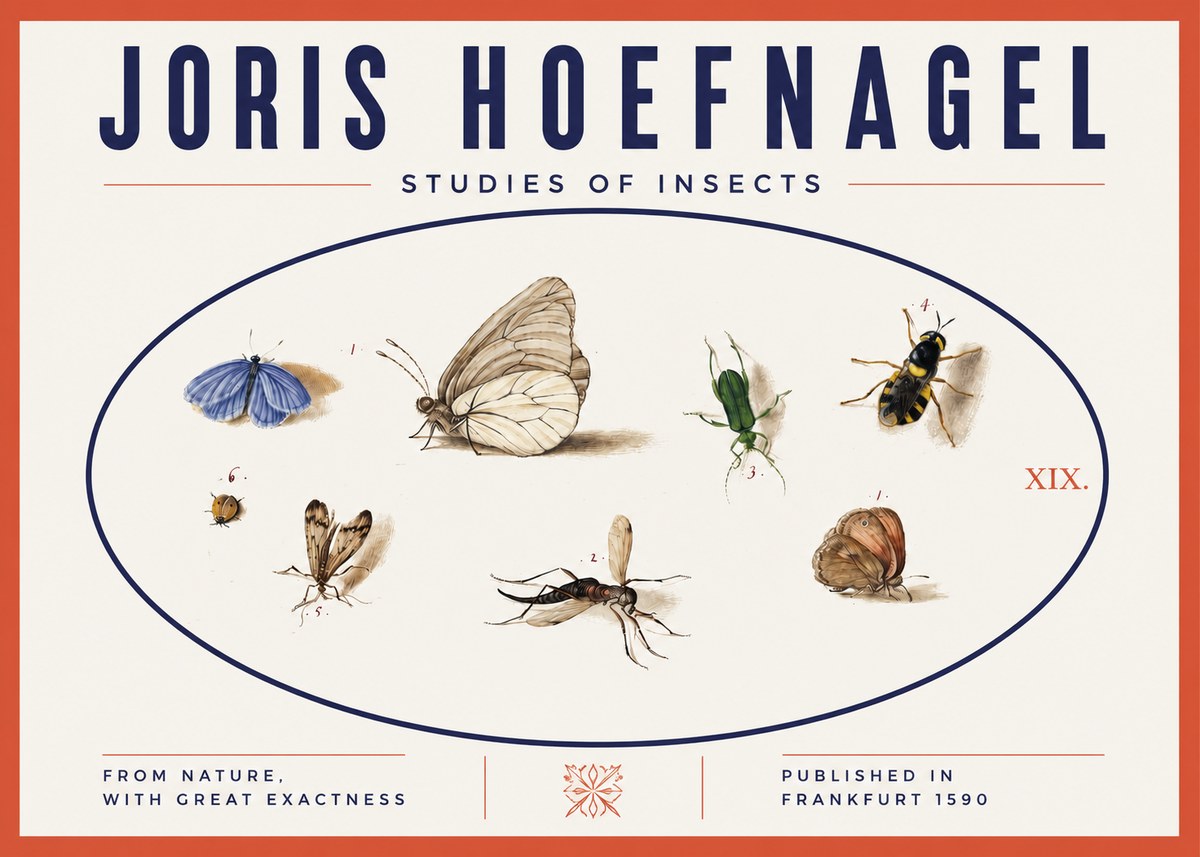 Joris Hoefnagel Studies of Insects V No3 - Plakat