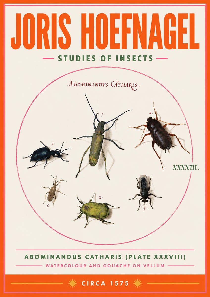 Joris Hoefnagel Abominandus Catharis (Plate Xxxviii) No3 - Plakat