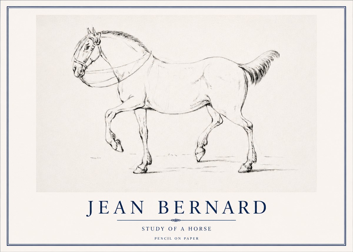 Jean Bernard Study of a Horse XVI No3 - Plakat