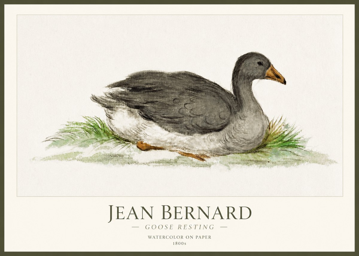 Jean Bernard Goose Resting No1 - Plakat