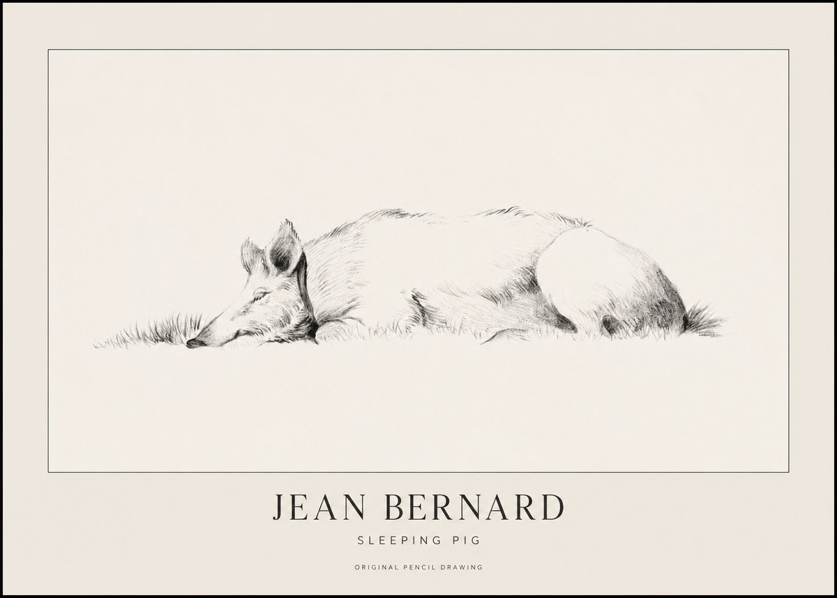 Jean Bernard Sleeping Pig II No1 - Plakat
