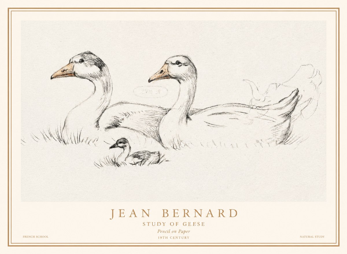Jean Bernard Study of Geese No1 - Plakat