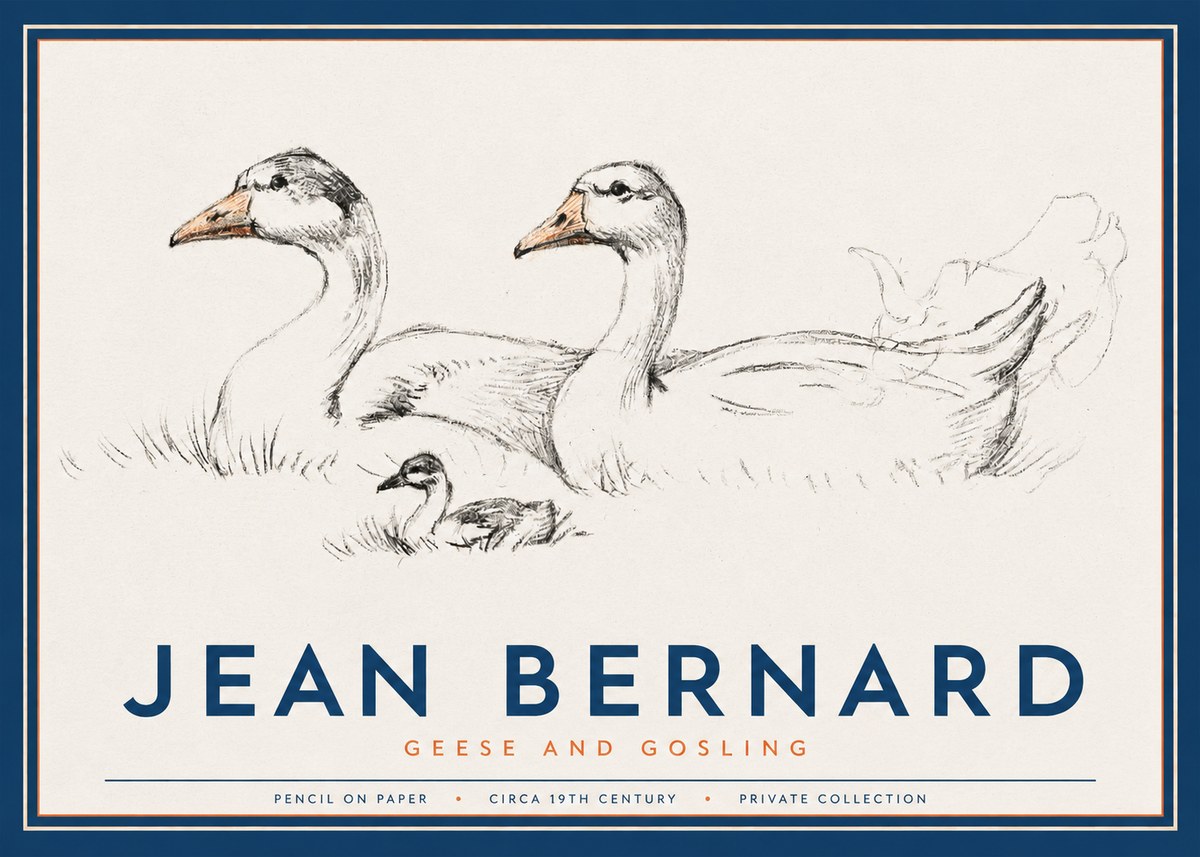 Jean Bernard Study of Geese No3 - Plakat
