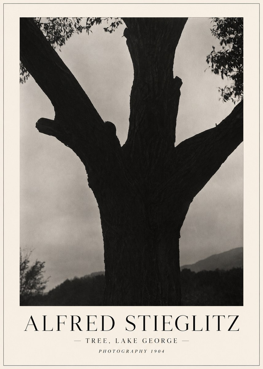 Alfred Stieglitz Tree - Lake George, 1921 No5 - Plakat
