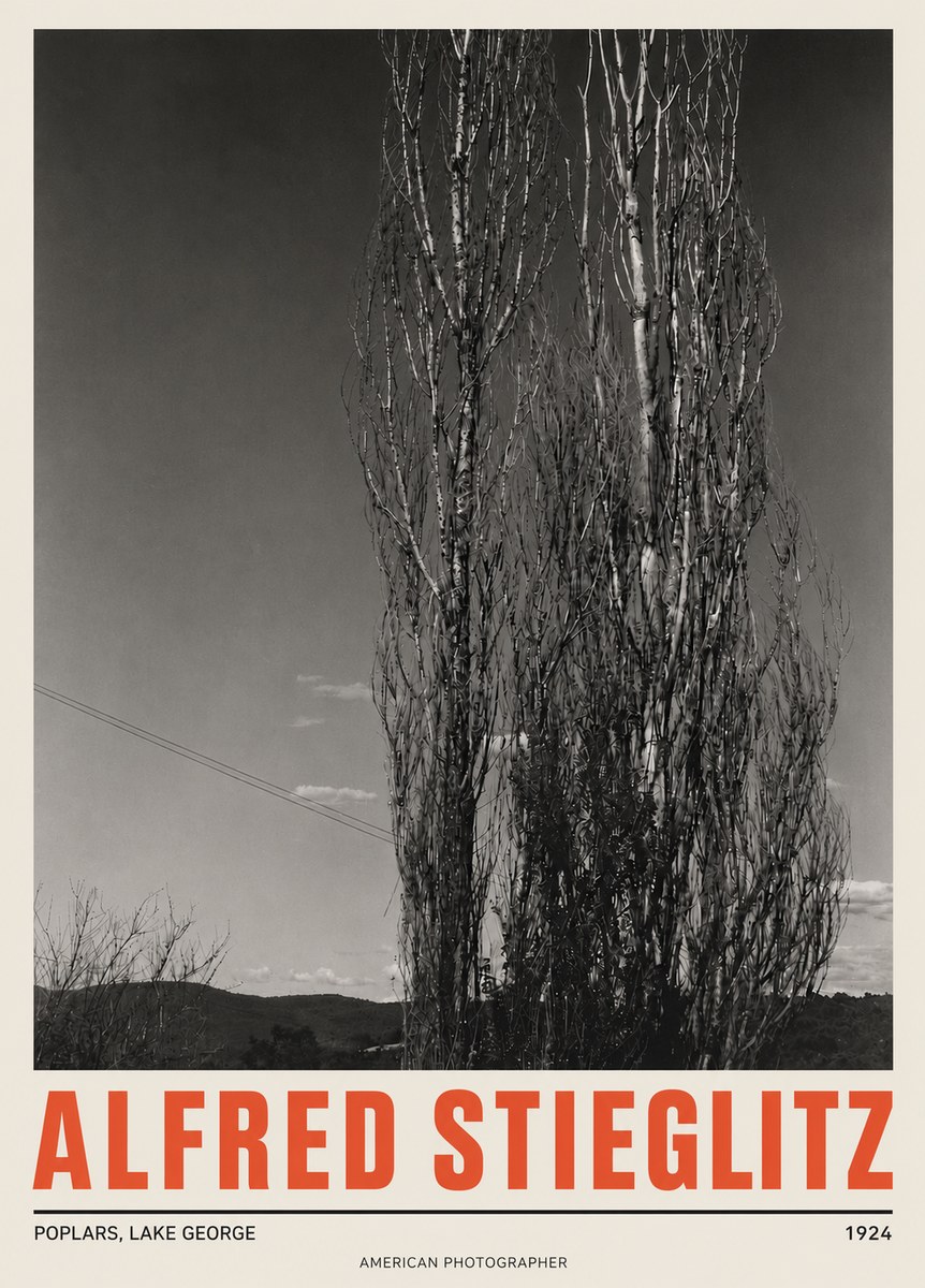 Alfred Stieglitz Trees - Lake George, 1921 No5 - Plakat