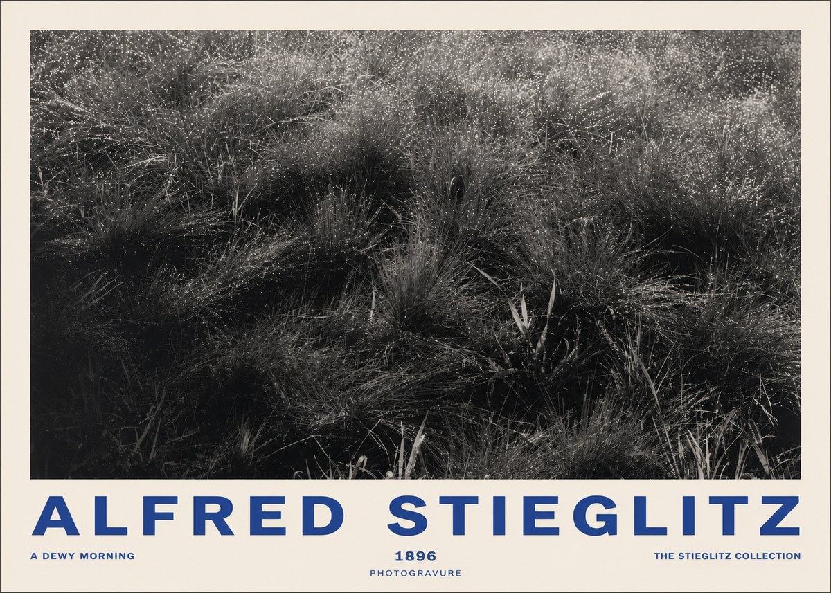 Alfred Stieglitz A Dewy Morning No2 - Plakat