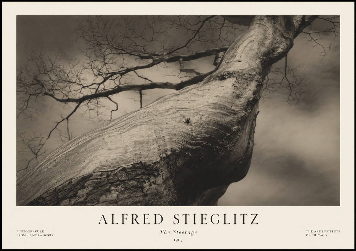 Alfred Stieglitz The Steerage I No1 - Plakat