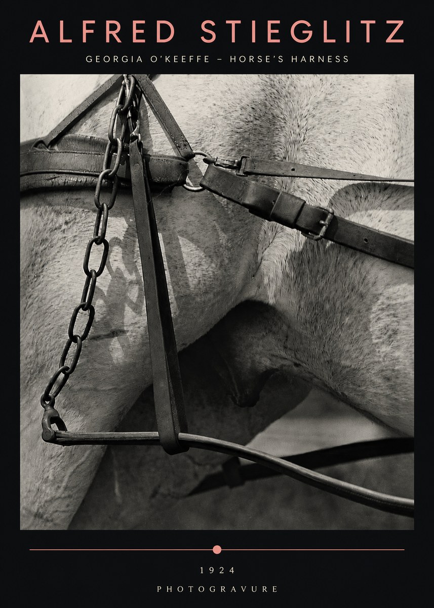Alfred Stieglitz The Steerage I No5 - Plakat