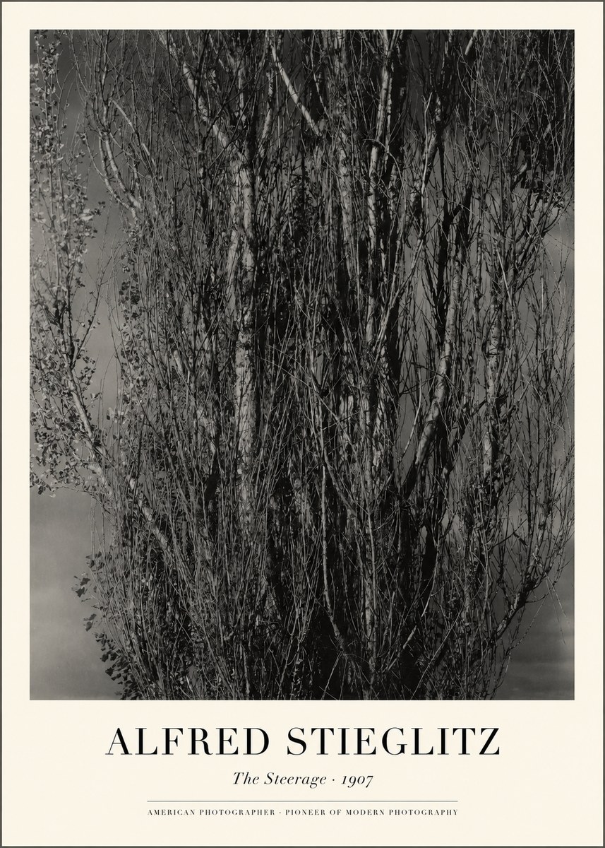 Alfred Stieglitz The Steerage II No1 - Plakat