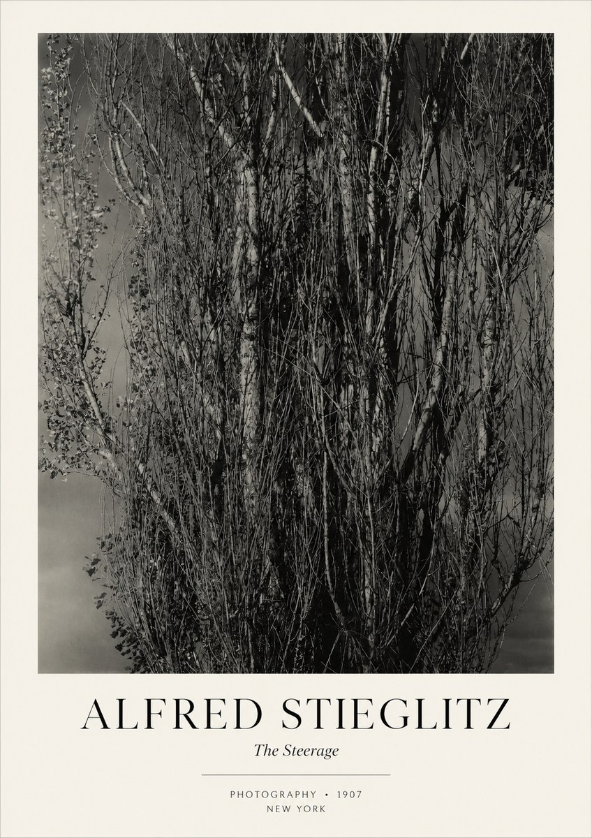 Alfred Stieglitz The Steerage II No3 - Plakat