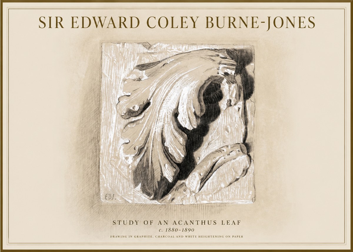 Edward Burne-Jones Study of an Acanthus Leaf No1 - Plakat