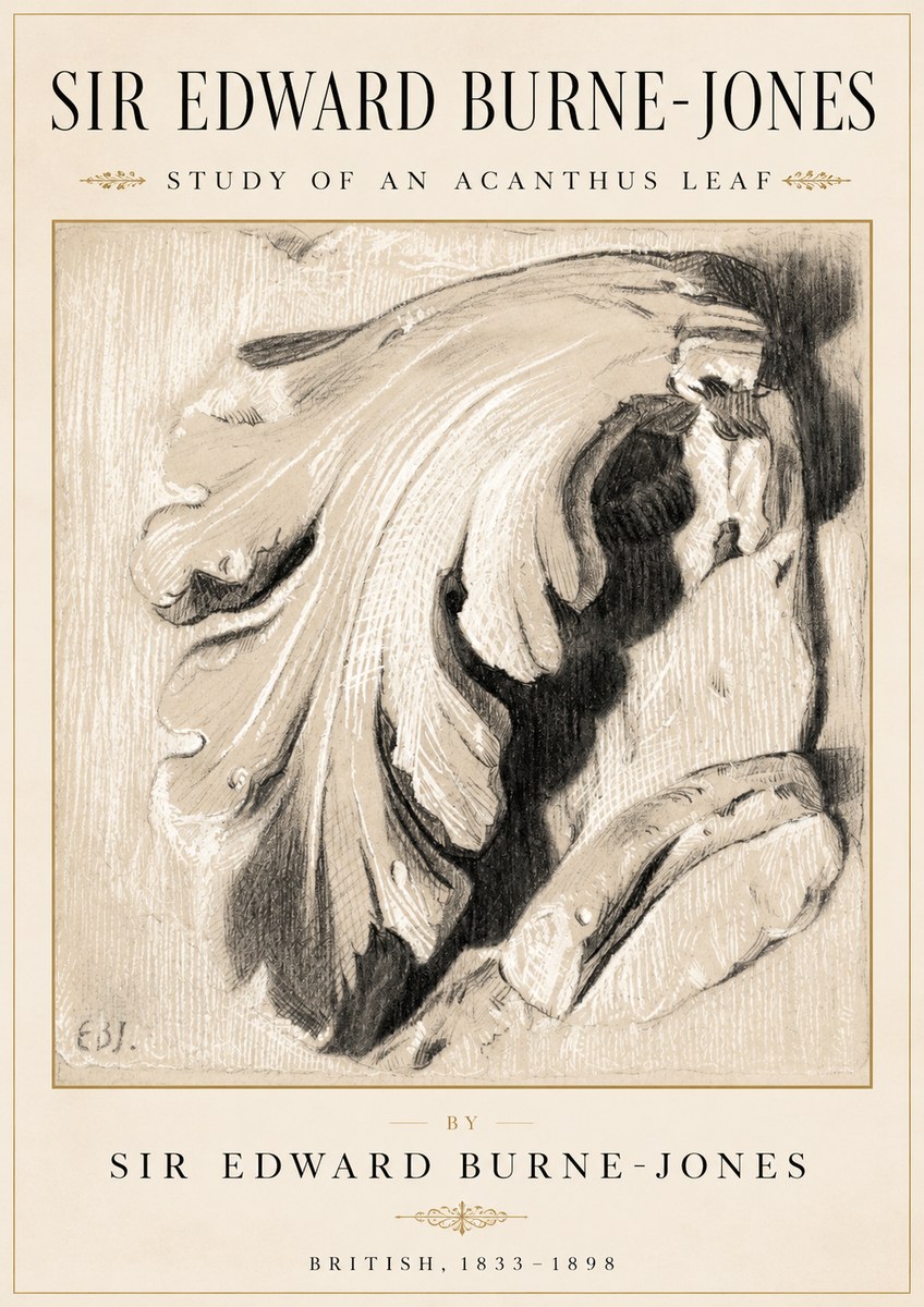 Edward Burne-Jones Study of an Acanthus Leaf No2 - Plakat
