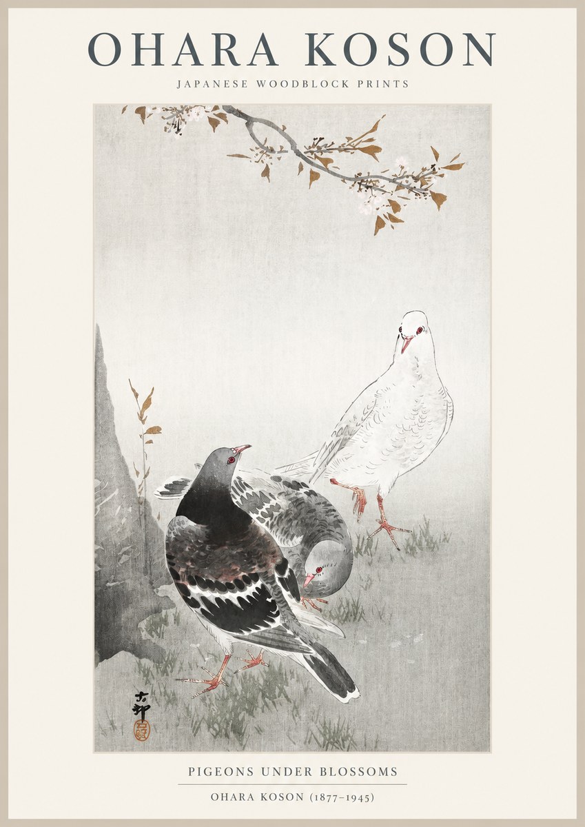 Ohara Koson Pigeons Under Blossoms No1 - Plakat