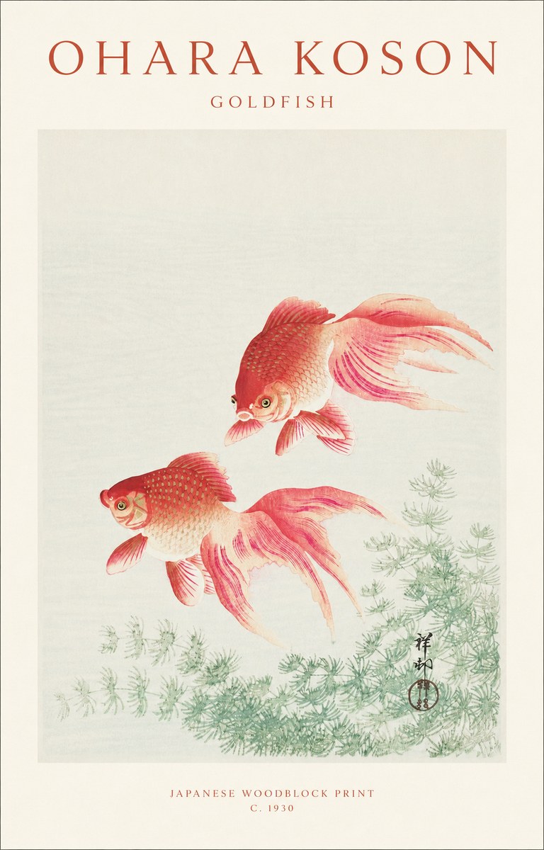 Ohara Koson Goldfish No1 - Plakat