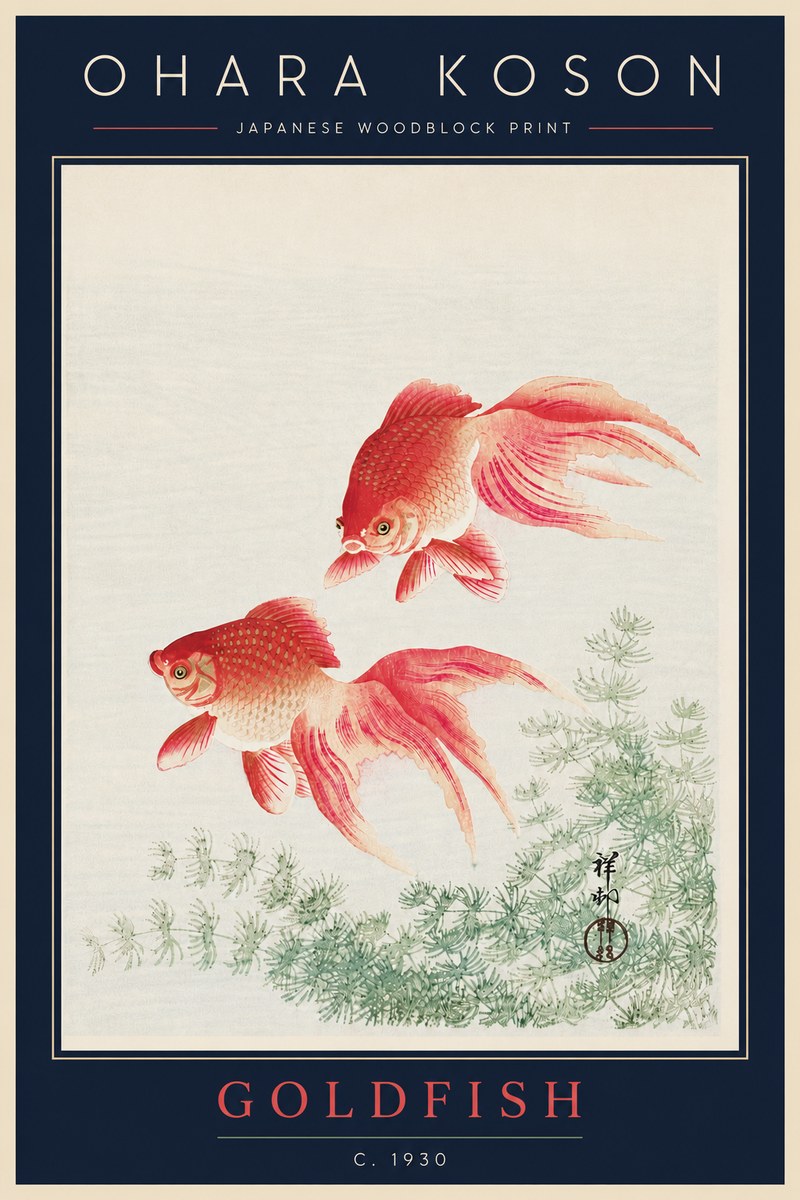 Ohara Koson Goldfish No5 - Plakat