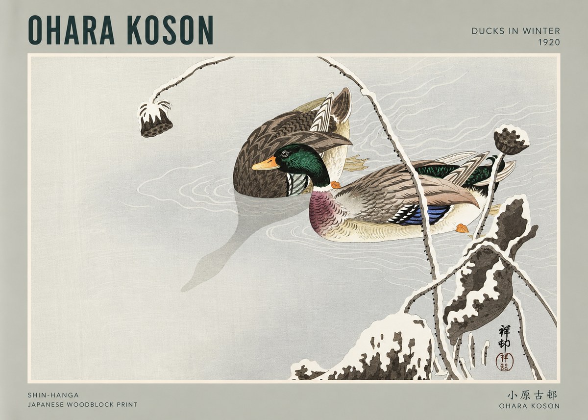 Ohara Koson Ducks in Winter No3 - Plakat