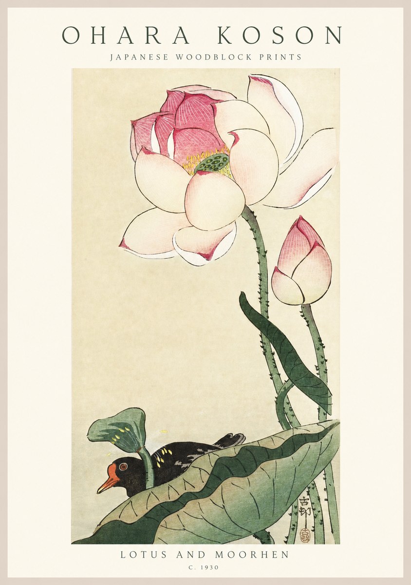 Ohara Koson Lotus and Moorhen No1 - Plakat