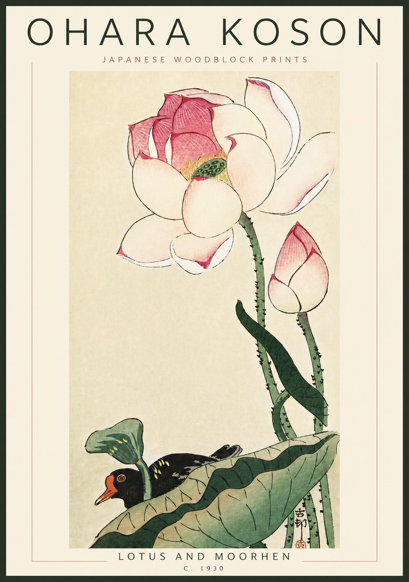 Ohara Koson Lotus and Moorhen No6 - Plakat