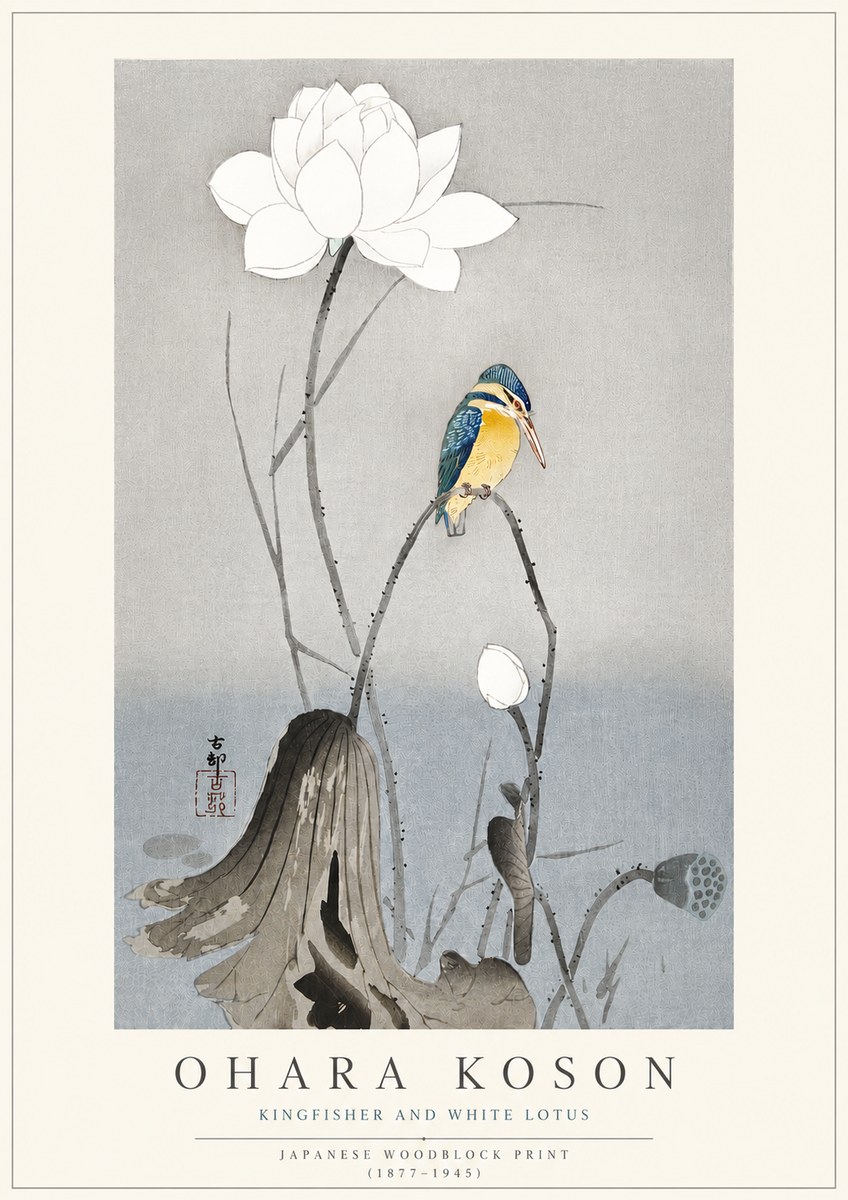 Ohara Koson Kingfisher and White Lotus No3 - Plakat