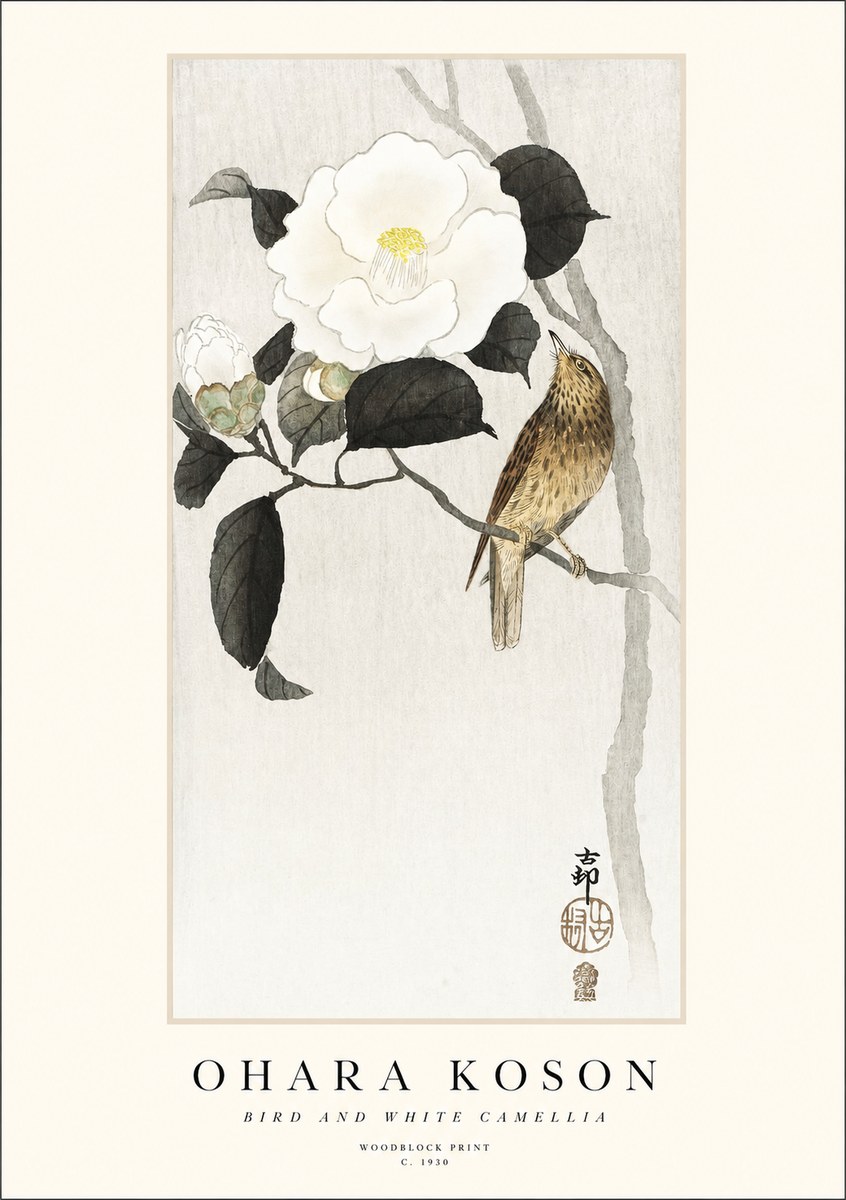 Ohara Koson Bird and White Camellia No1 - Plakat