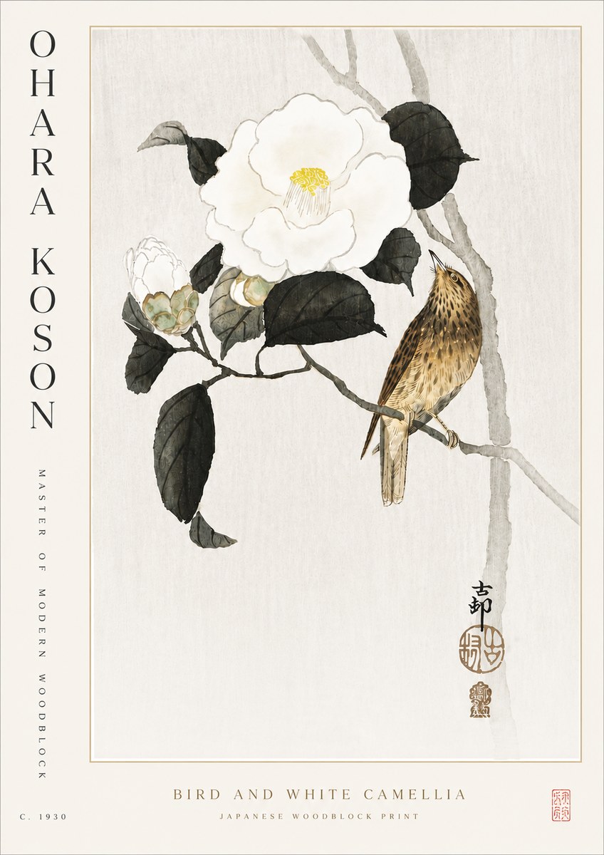 Ohara Koson Bird and White Camellia No5 - Plakat