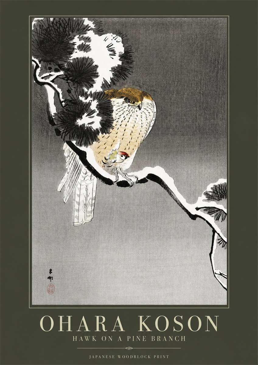 Ohara Koson Hawk on a Pine Branch No2 - Plakat