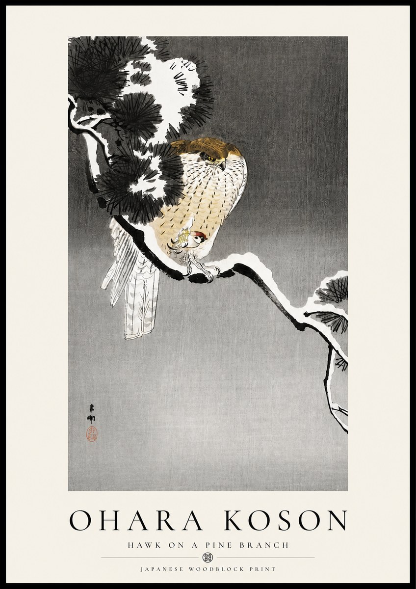 Ohara Koson Hawk on a Pine Branch No4 - Plakat