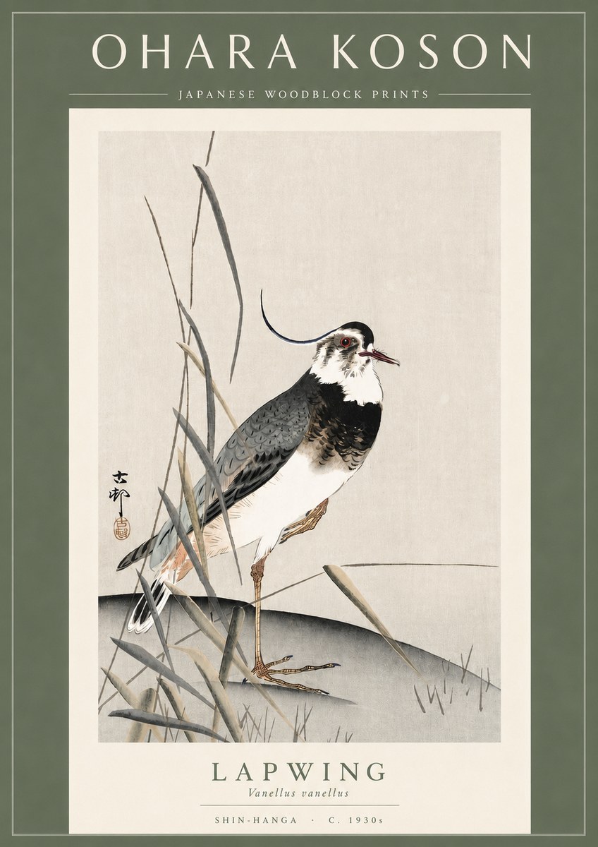Ohara Koson Lapwing No3 - Plakat