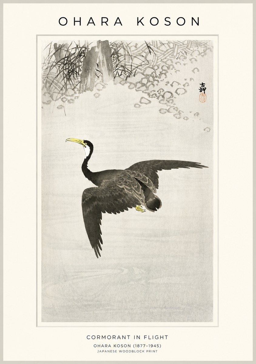 Ohara Koson Cormorant in Flight No1 - Plakat