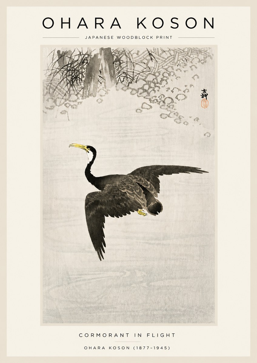 Ohara Koson Cormorant in Flight No3 - Plakat