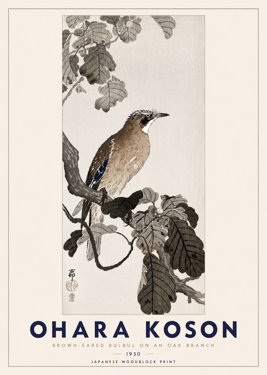 Ohara Koson Brown-eared Bulbul on an Oak Branch No3 - Plakat