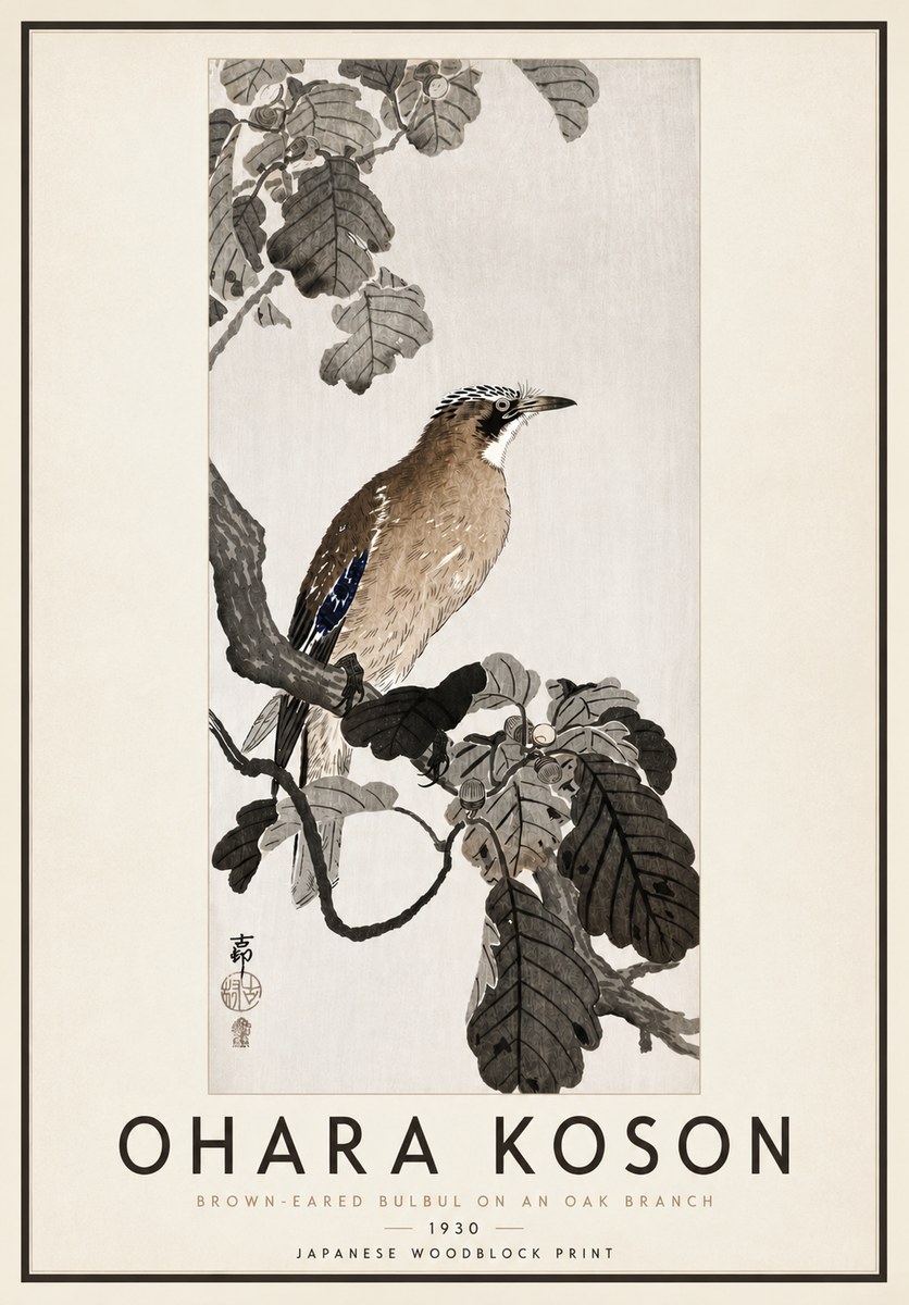 Ohara Koson Brown-eared Bulbul on an Oak Branch No4 - Plakat