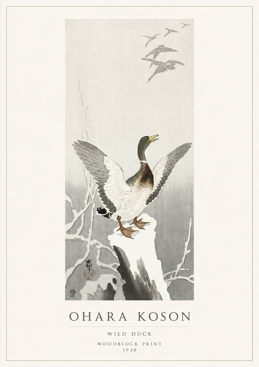 Ohara Koson Wild Duck No1 - Plakat