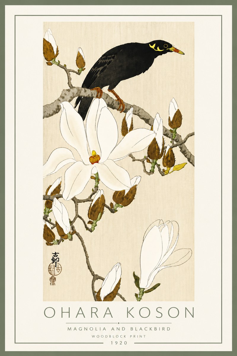 Ohara Koson Magnolia and Blackbird No5 - Plakat