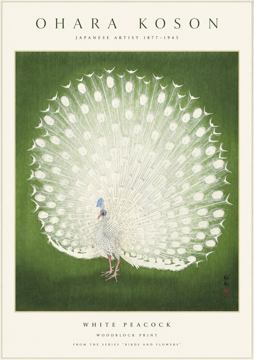 Ohara Koson White Peacock No1 - Plakat