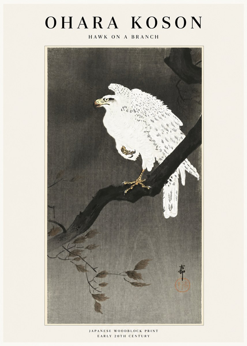 Ohara Koson Hawk on a Branch II No1 - Plakat