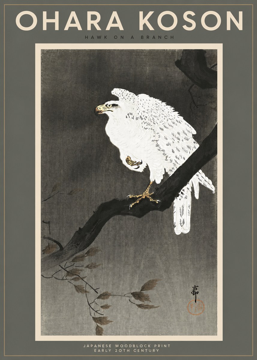 Ohara Koson Hawk on a Branch II No2 - Plakat