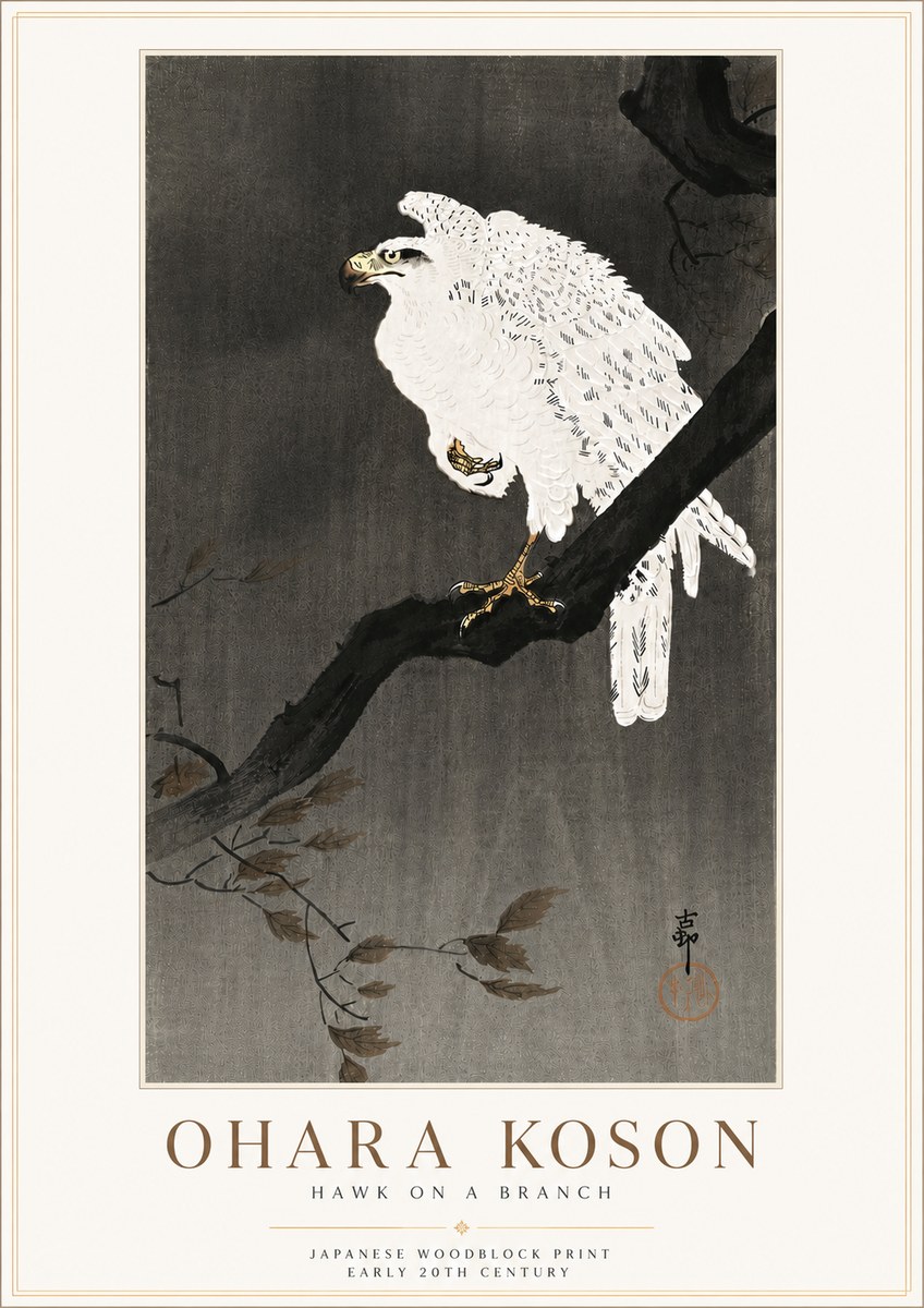 Ohara Koson Hawk on a Branch II No6 - Plakat