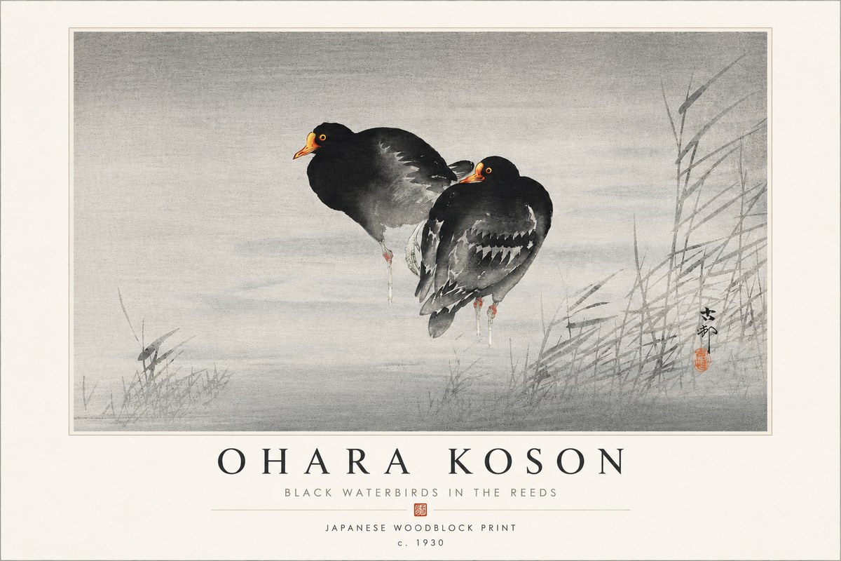 Ohara Koson Black Waterbirds in the Reeds No4 - Plakat