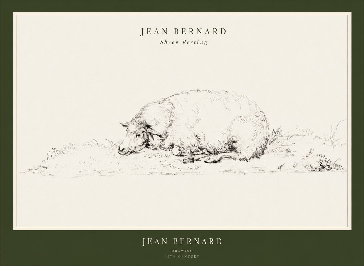 Jean Bernard Sheep Resting on the Ground No3 - Plakat