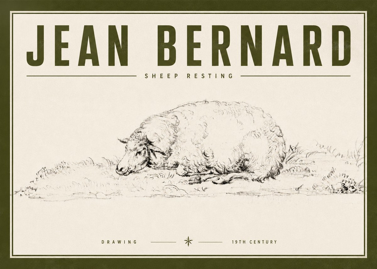 Jean Bernard Sheep Resting on the Ground No6 - Plakat
