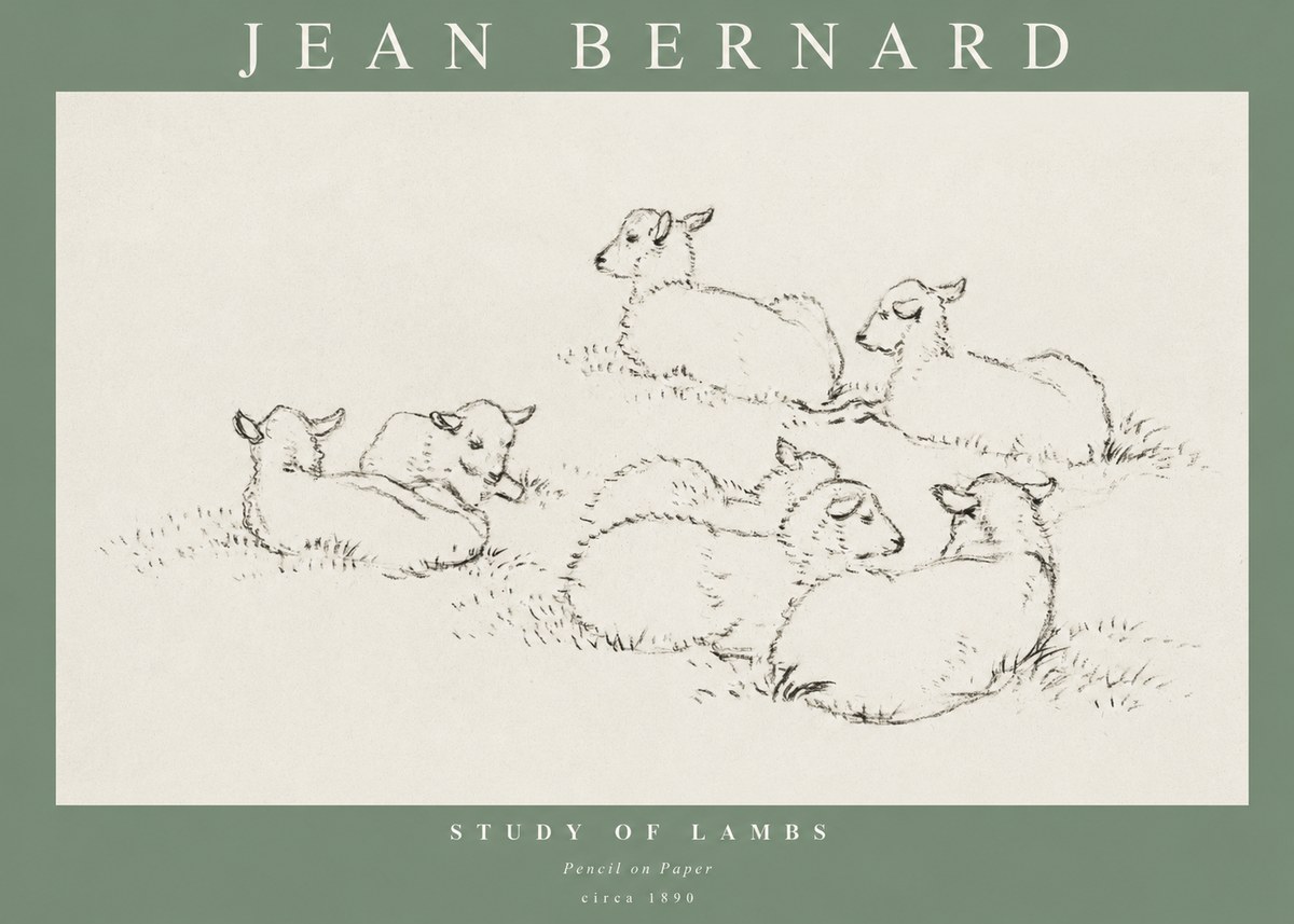 Jean Bernard Study of Lambs No1 - Plakat