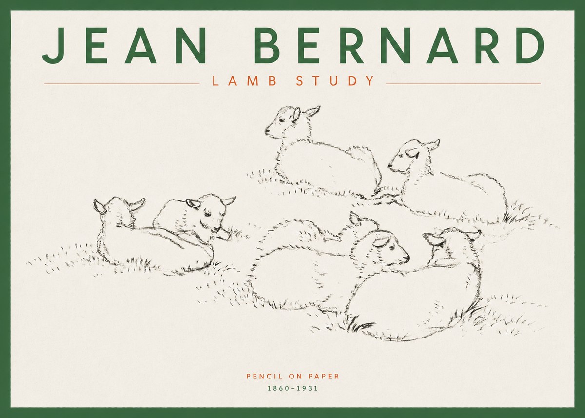 Jean Bernard Study of Lambs No5 - Plakat