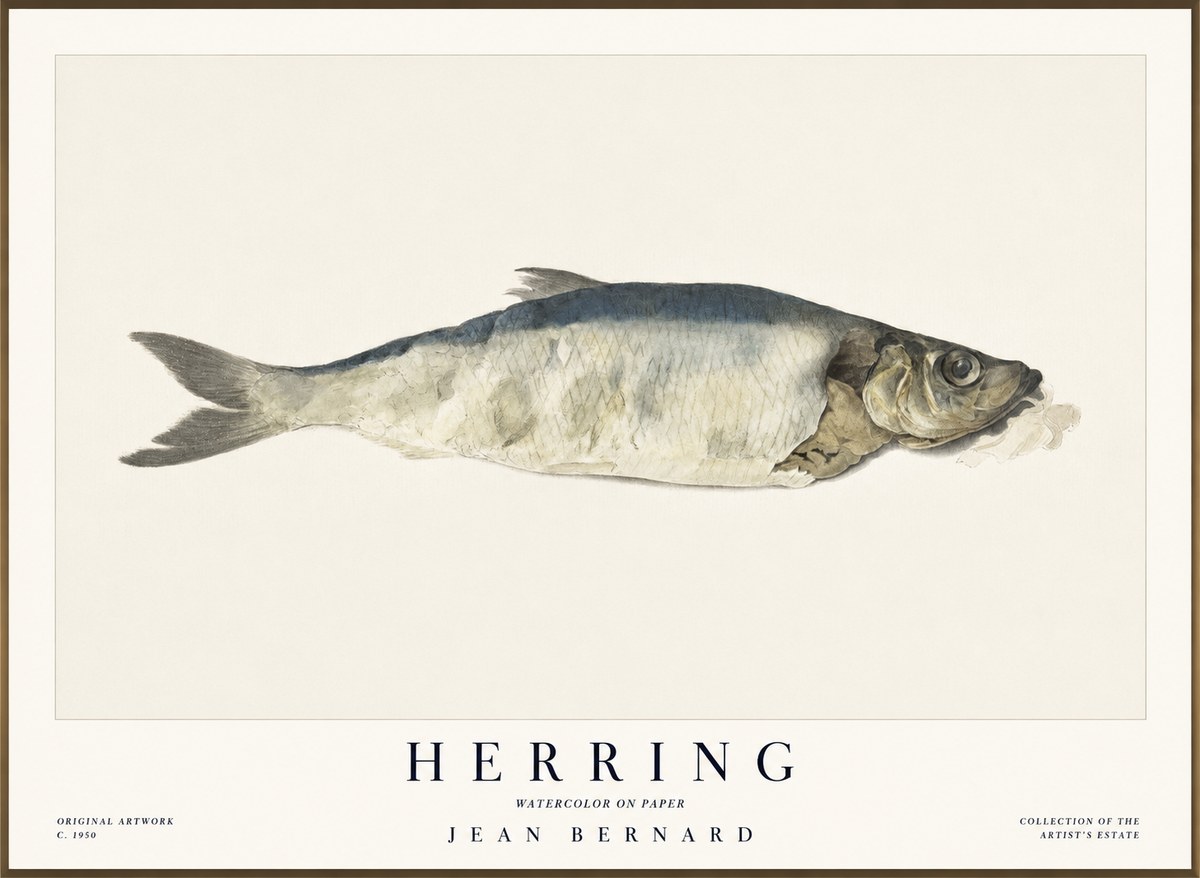 Jean Bernard Herring No1 - Plakat