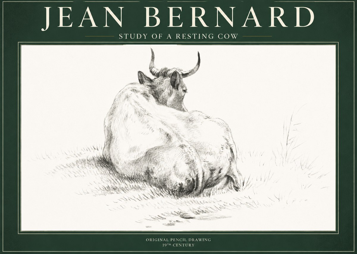 Jean Bernard Study of a Resting Cow I No1 - Plakat