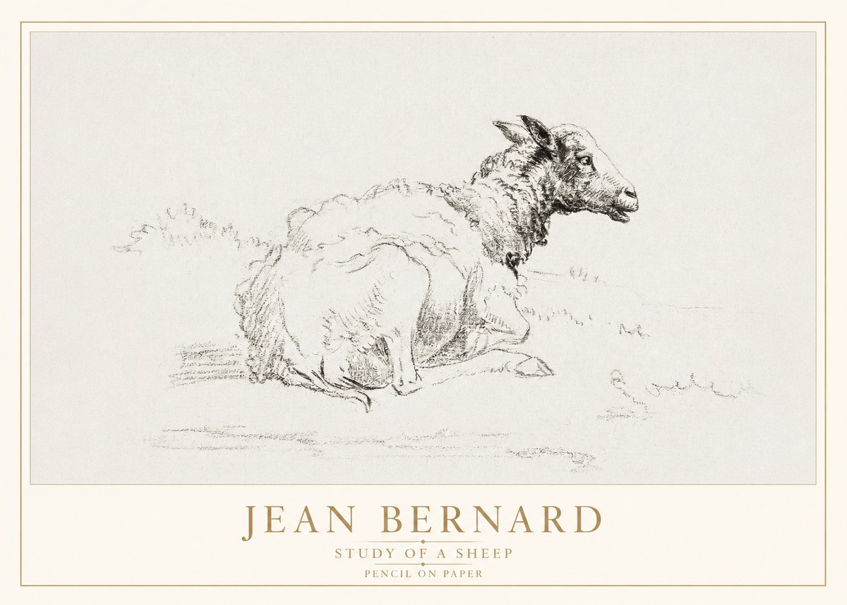 Jean Bernard Sheep Resting No4 - Plakat