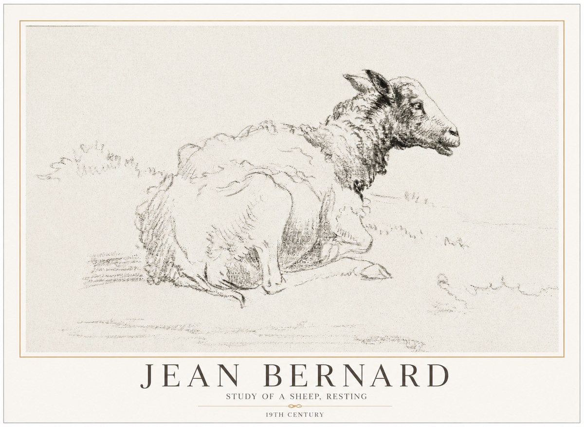 Jean Bernard Sheep Resting No5 - Plakat