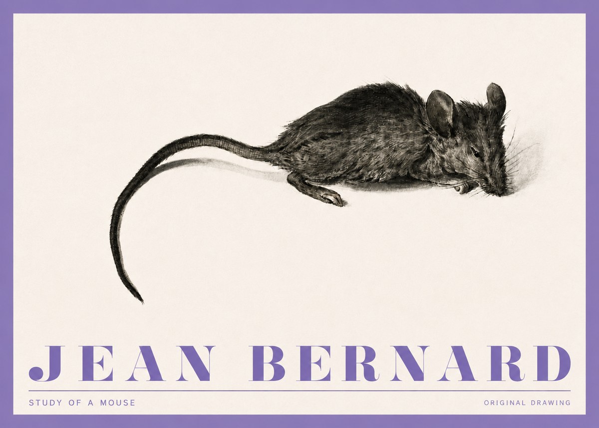 Jean Bernard Study of a Mouse I No4 - Plakat
