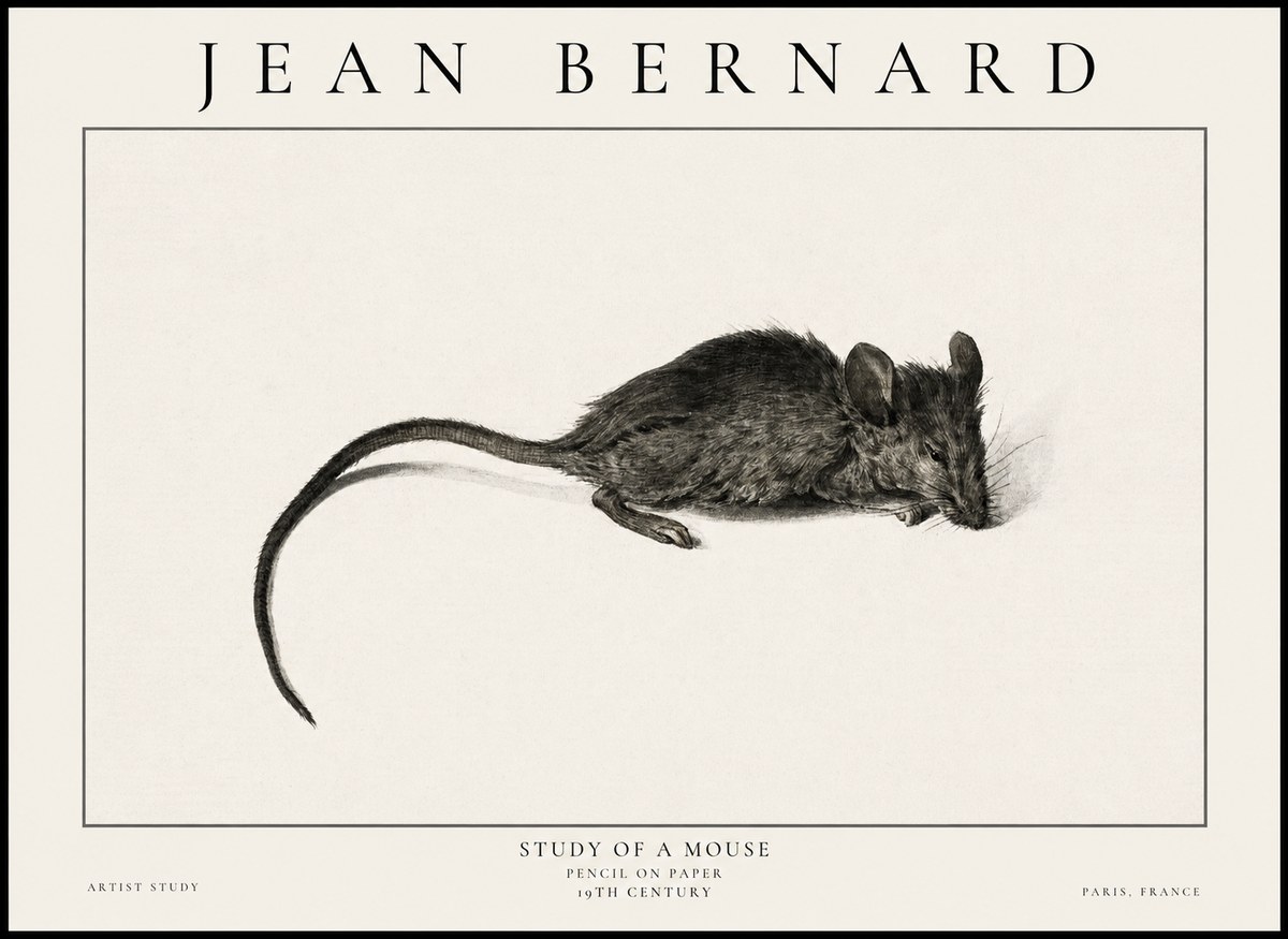 Jean Bernard Study of a Mouse I No6 - Plakat